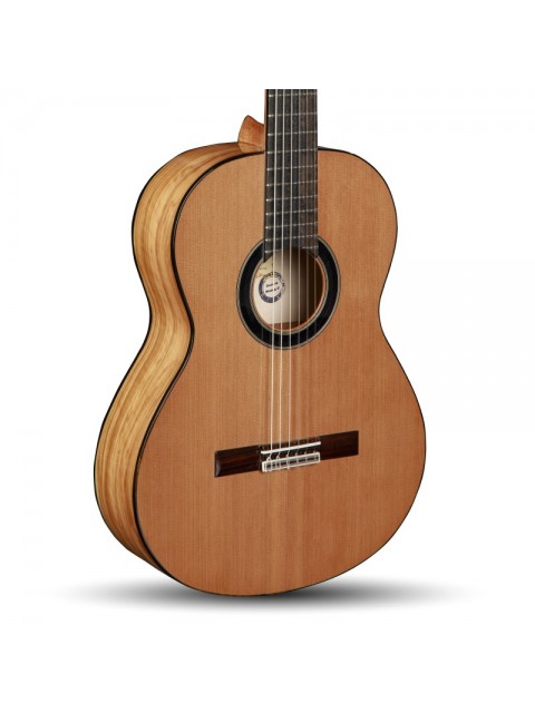 foto-cuerpo_clasicas-6-olivo-480x640-zc2