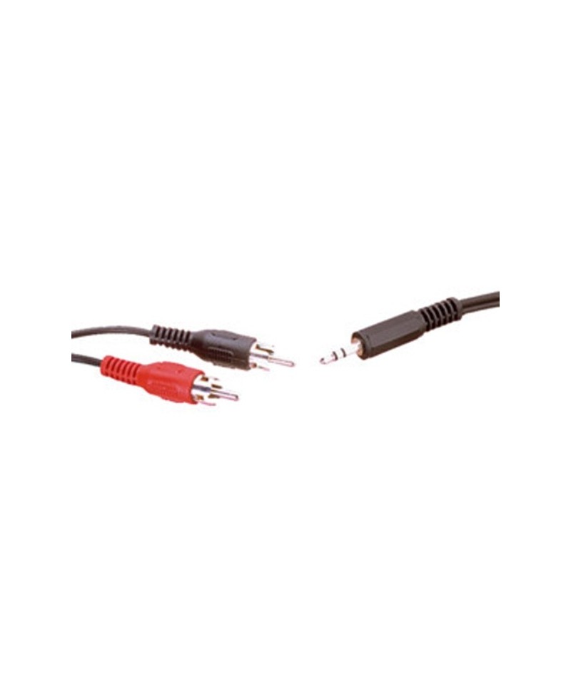 Cable Inyectado 2RCA - Mini Jack Stereo 2m
