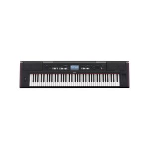 Teclado Portatil Yamaha NP-V80