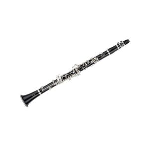 Clarinete Yamaha YCL-450NE
