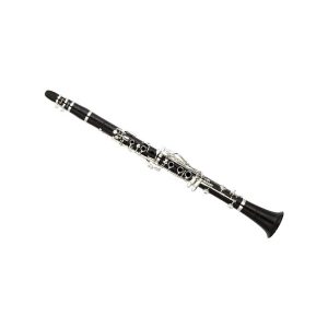 Clarinete Yamaha YCL-CSG L