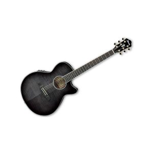Guitarra Acústica Ibanez AEG24II-TGB
