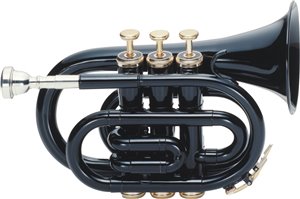 TROMPETA DE BOLSILLO SI BEMOL NEGRA J.MICHAEL TR400PCN