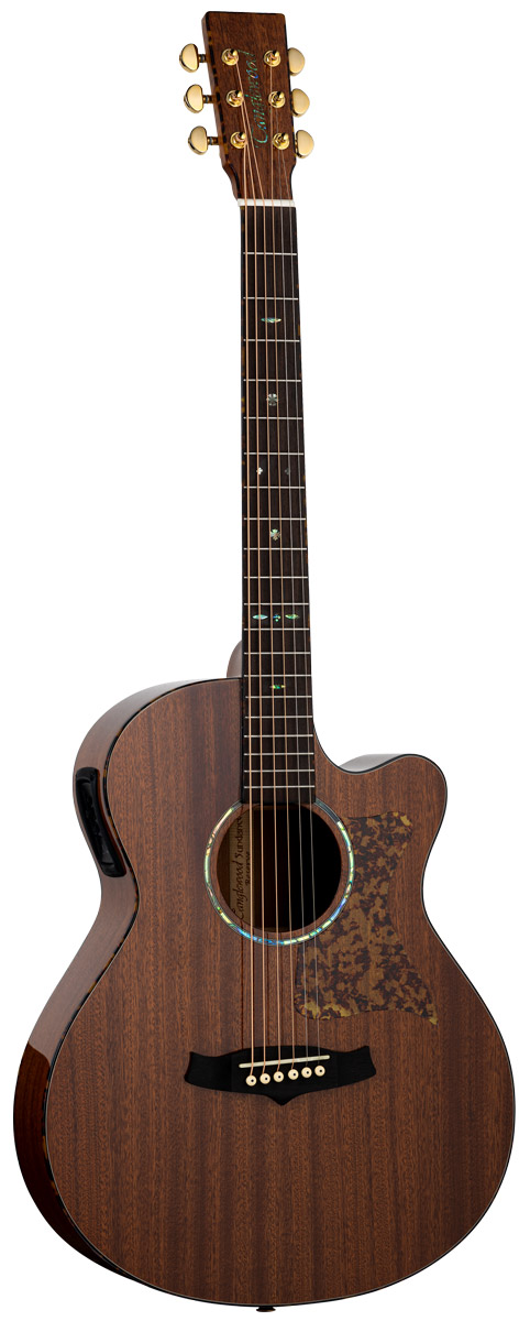 GUITARRA ACÚSTICA TANGLEWOOD TW47RE SERIE SUNDANCE PERFORMANCE PRO