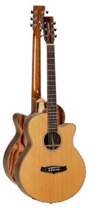 GUITARRA ACÚSTICA TANGLEWOOD TWJSFCE SUPER FOLK