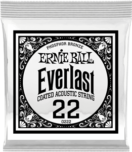 CUERDA ACÚSTICA EVERLAST CT PHOSPHOR/BZ 022