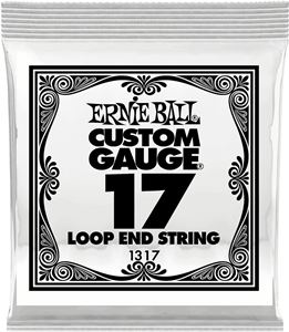 CUERDA MANDOLINA / BANJO STAINLESS STEEL .017