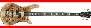 BAJO ELÉCTRICO SPECTOR EURO LX 4 - Poplar Burl Natural