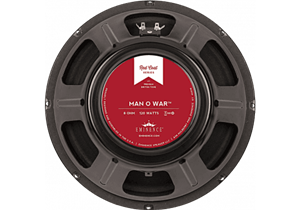 Altavoz de 31cm 120W 8 ohms