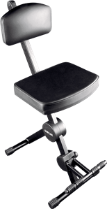 SILLÍN REGULABLE MULTIUSO CON RESPALDO & REPOSAPIES