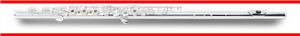FLAUTA TRAVESERA PEARL QUANTZ FORZA F505RBE
