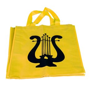 Bolsa amarilla lira
