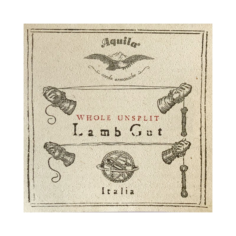 Cuerda-barroca-Aquila-tripa-82HU