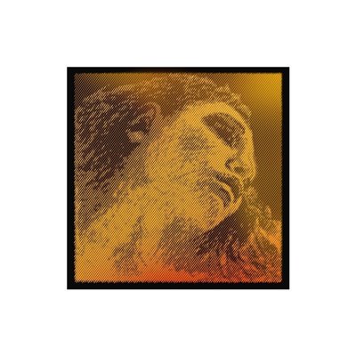 Cuerda cello Larsen 2ª Re Medium 1/2