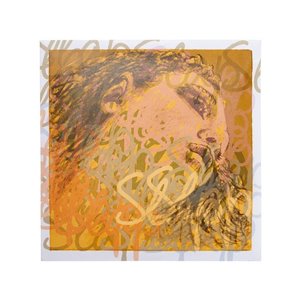 Cuerda contrabajo Pirastro Evah Pirazzi Slap Orchestra 145220 2ª Re Medium 3/4