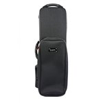 Cuerda viola Pirastro Oliv 221241 2ª Re 16 1/4 Medium