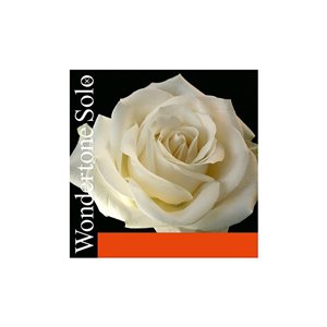 Cuerda violín Pirastro Wondertone Solo 310321 1ª Mi Bola 26 acero plateado Medium 4/4
