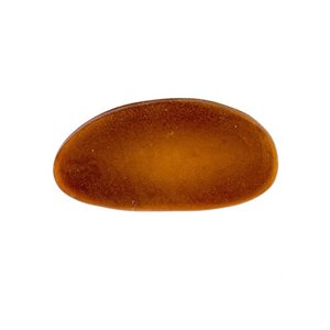 Protector barbada violín GelRest Flesch boj 4/4 4/4