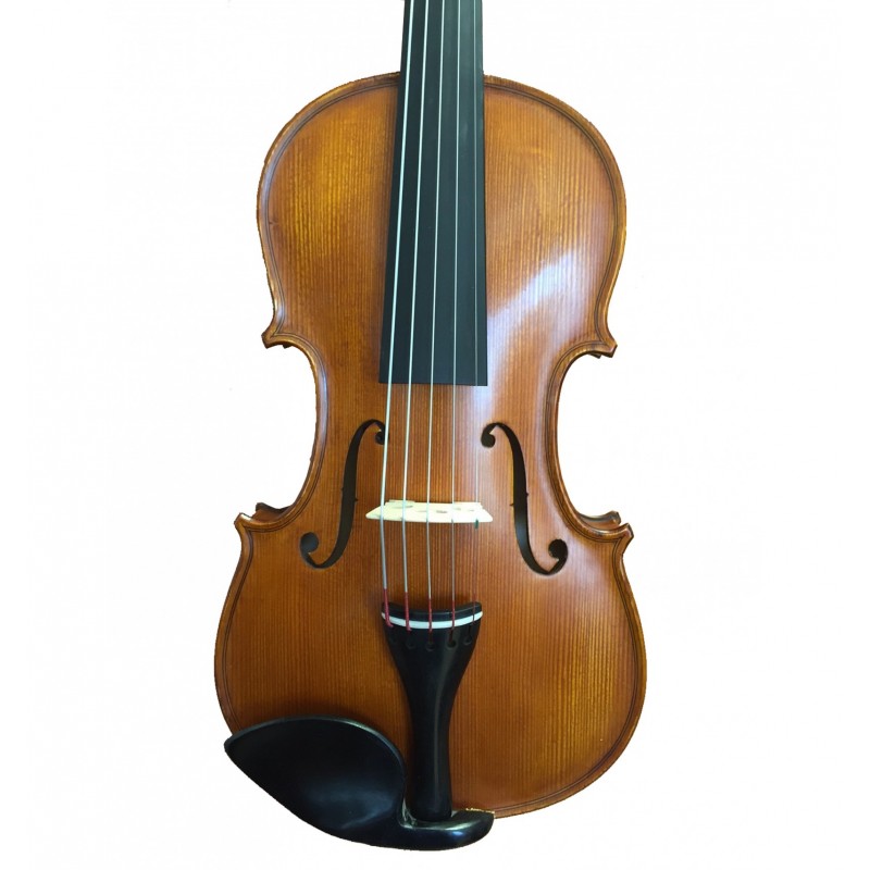 Violín Gliga Gama II 5 cuerdas 4/4