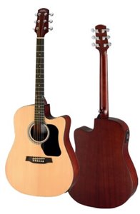 WAD350CE-SW LIMITED STANDARD 300 ACOUSTIC